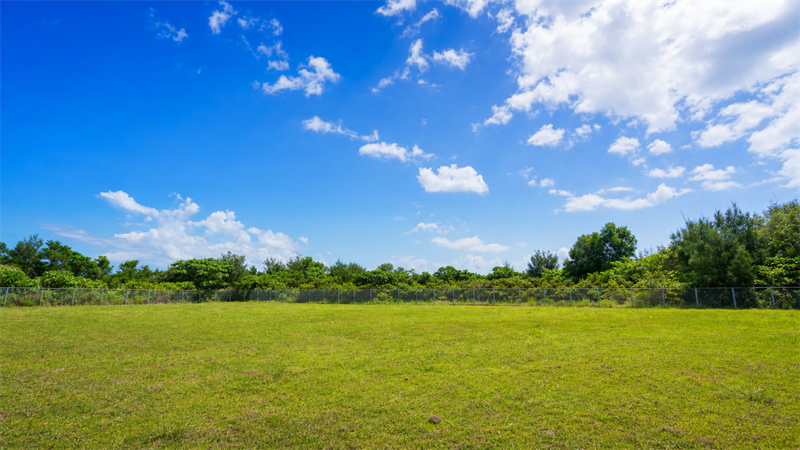 沖縄の草地の更地と青空